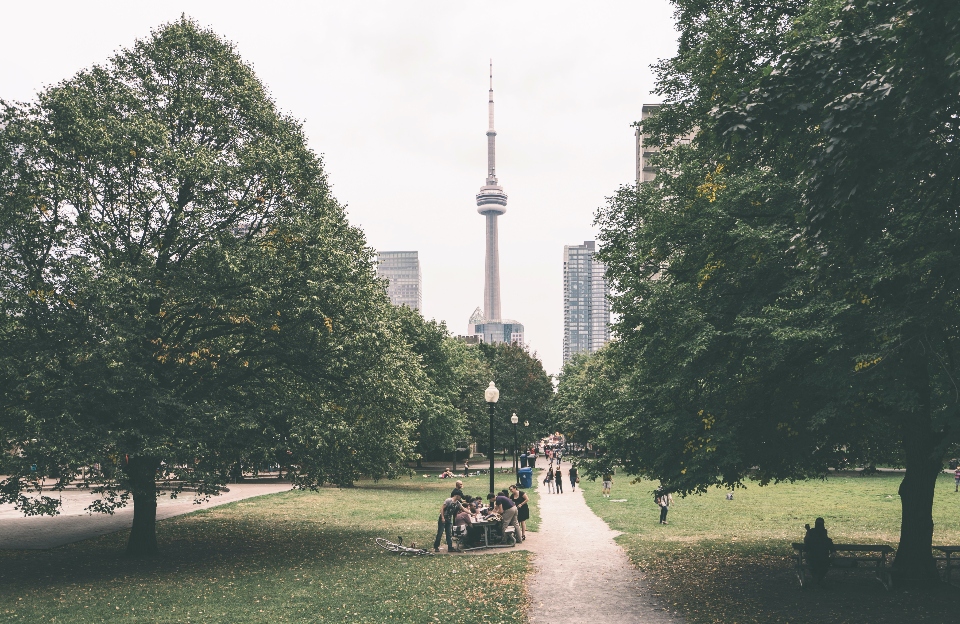 people in the park near Toronto