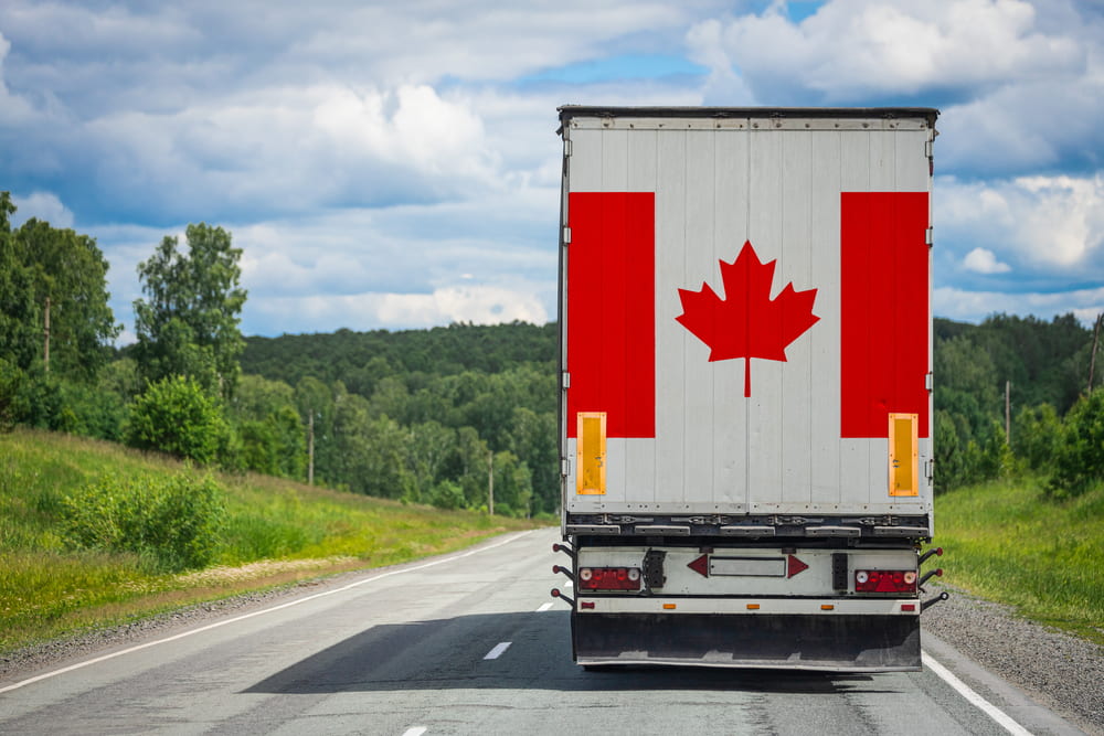 What to look for in an international moving company