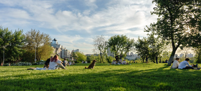 people in the park in one of the best places in Canada for pet owners 