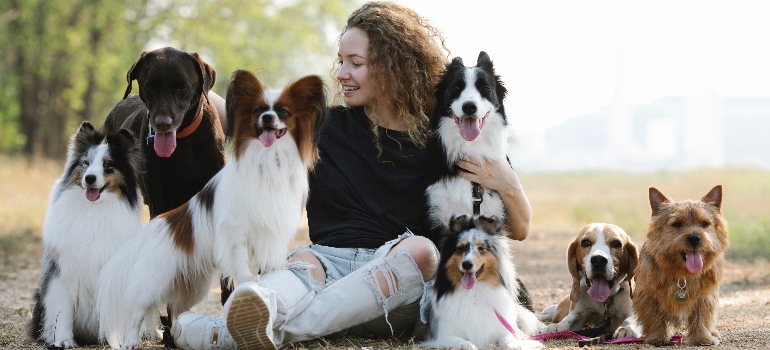 a woman with dogs in a park 